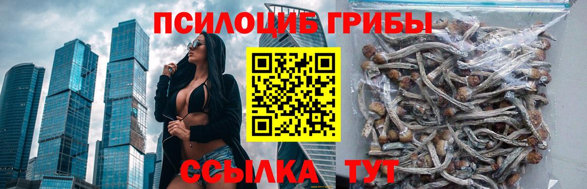 Волжск  Галлюциногенные грибы Cubensis  Вход с VPN 